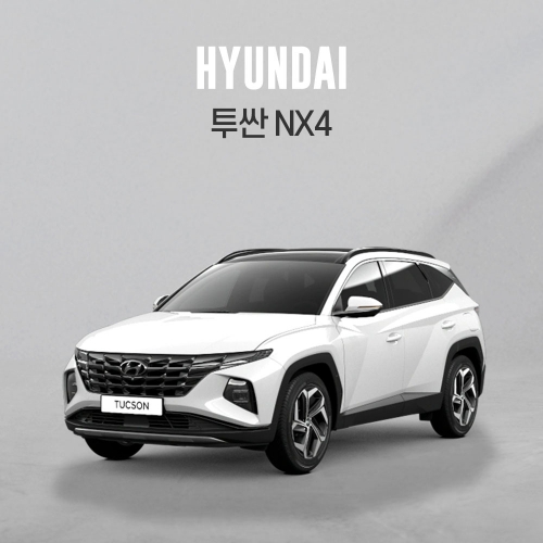 전용상품관 투싼 NX4/4세대 HH271